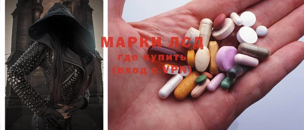 индика Майский