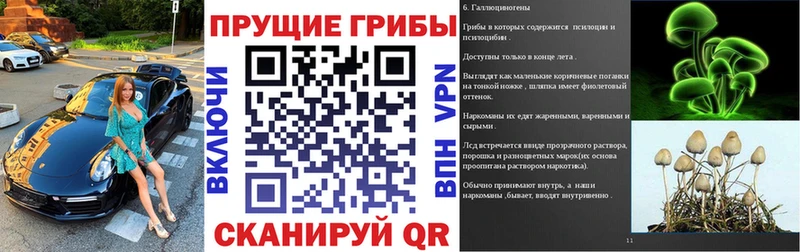 Купить  Ногинск  Псилоцибиновые грибы мухоморы 